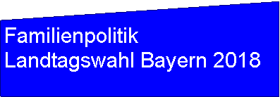 Flussdiagramm: Manuelle Eingabe: FamilienpolitikLandtagswahl Bayern 2018